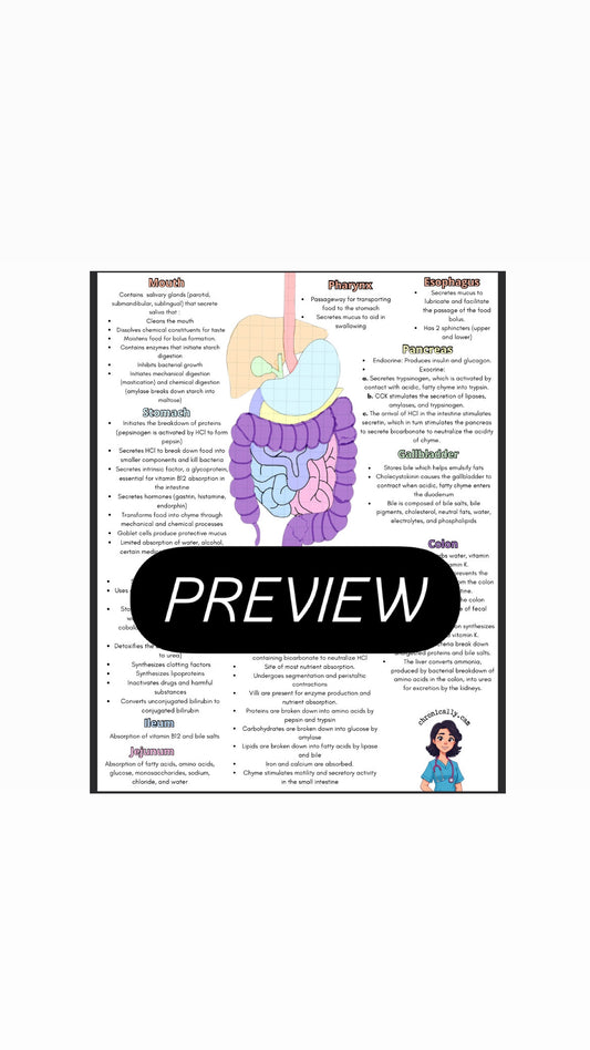 Digestive System Diagram